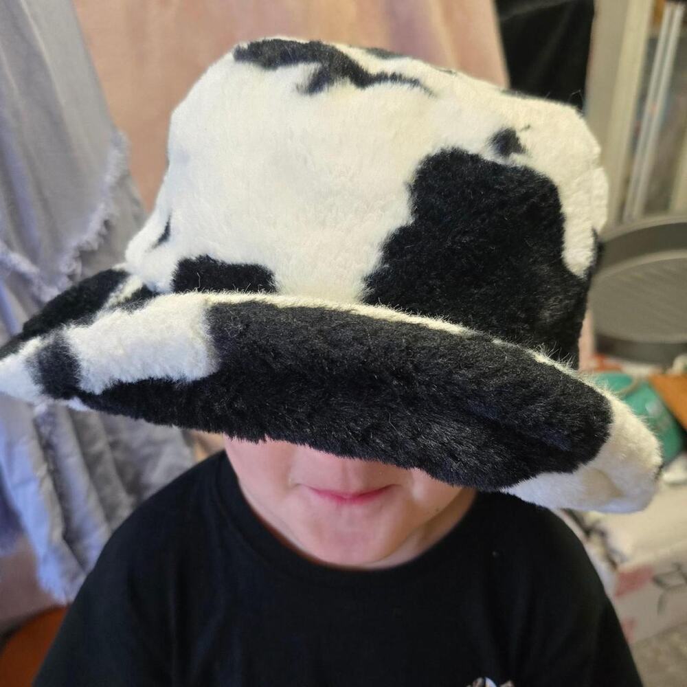 Adult black and white cow